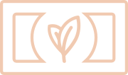 Icône (potager)